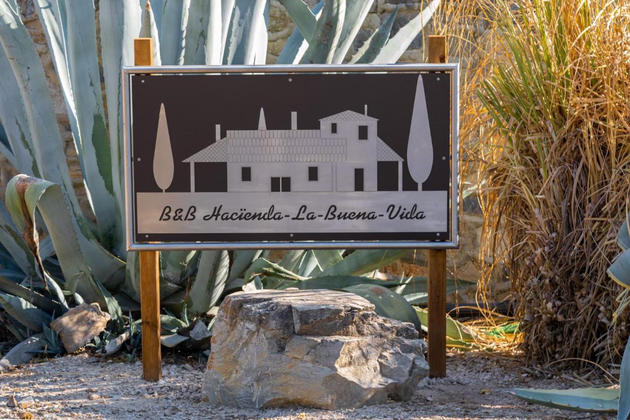 Hacienda La Buena Vida B&B En Appartementen 阿尔加里内霍 外观 照片